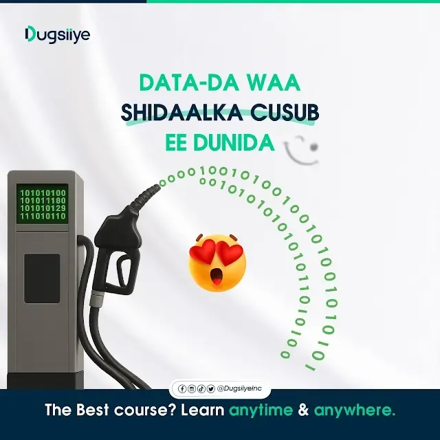 Xogtu Waa Shidaalka Cusub